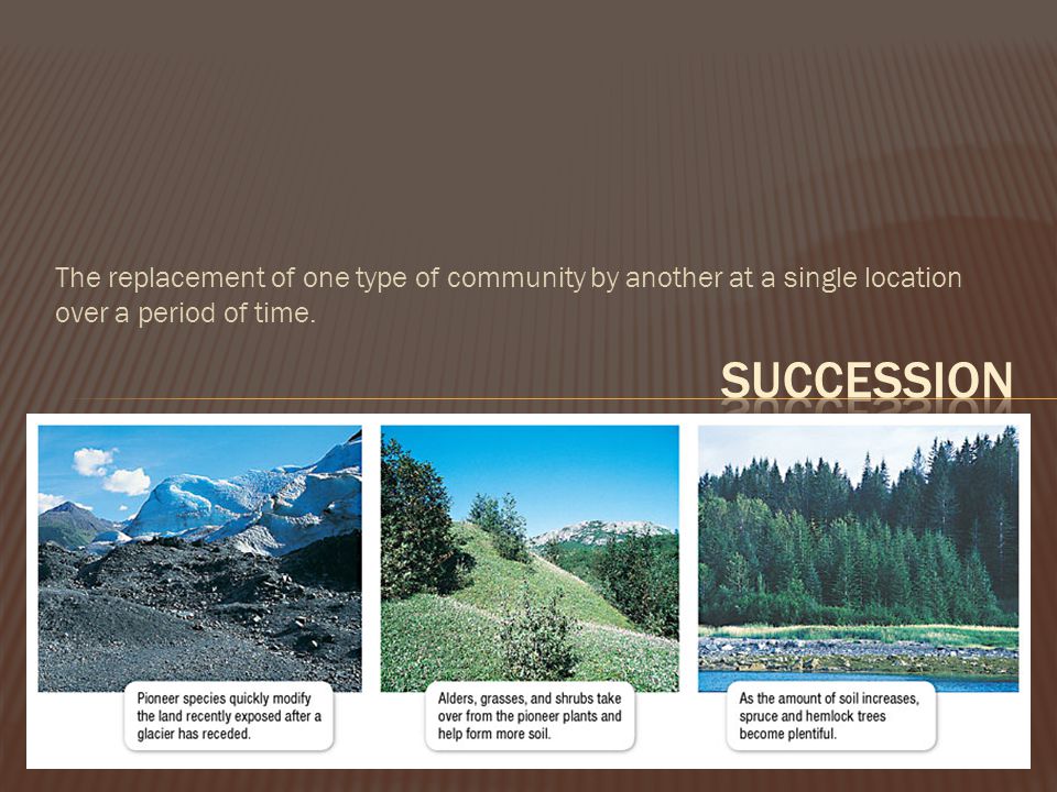 The replacement of one type of community by another at a single location over a period of time.