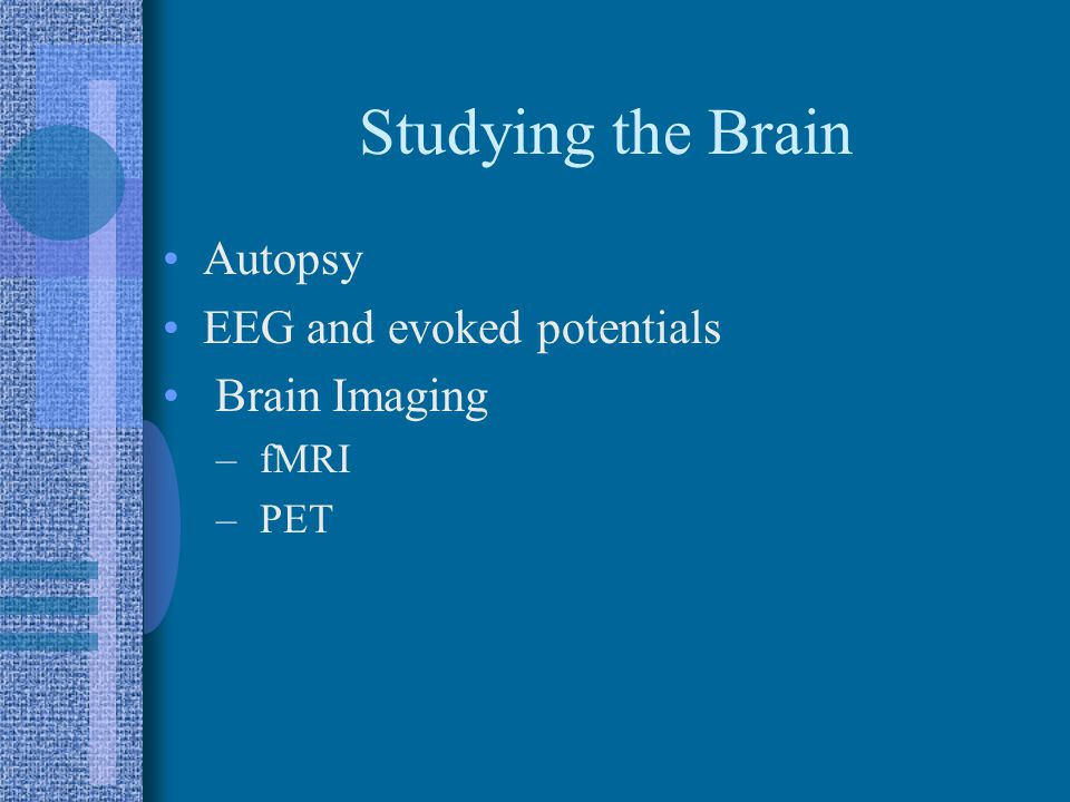 Overview Ways of Studying the Brain How is the Brain Organized