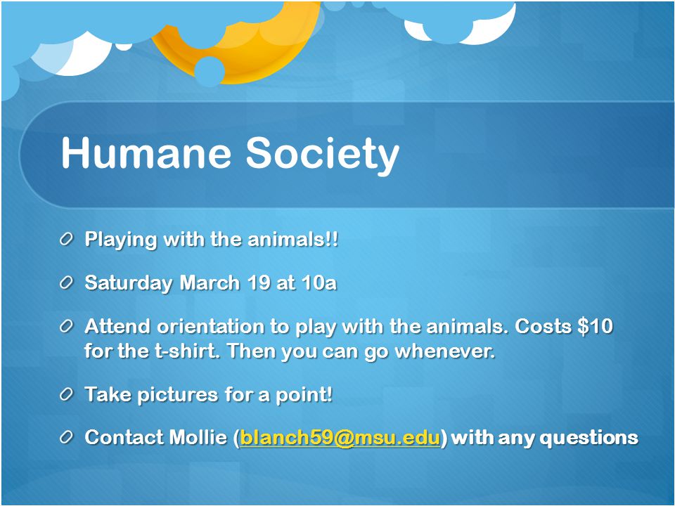 Humane Society Playing with the animals!.