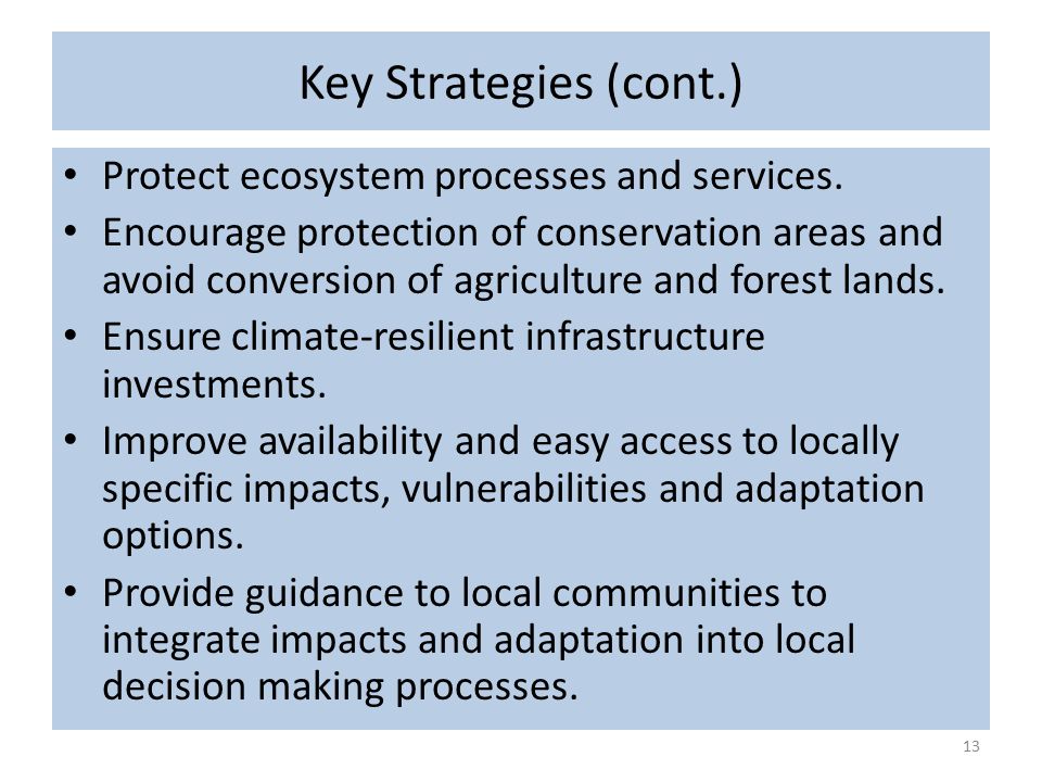 Key Strategies (cont.) Protect ecosystem processes and services.