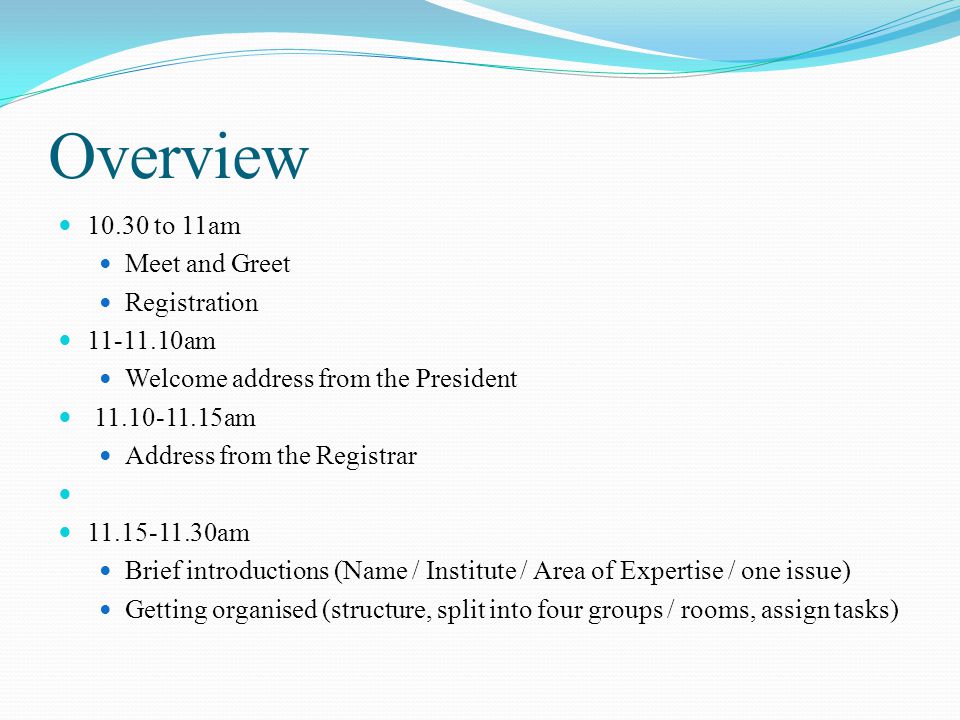 Overview to 11am Meet and Greet Registration am Welcome address from the President am Address from the Registrar am Brief introductions (Name / Institute / Area of Expertise / one issue) Getting organised (structure, split into four groups / rooms, assign tasks)
