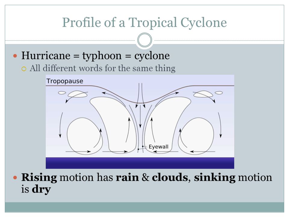 Profile of a Tropical Cyclone Hurricane = typhoon = cyclone  All different words for the same thing Rising motion has rain & clouds, sinking motion is dry