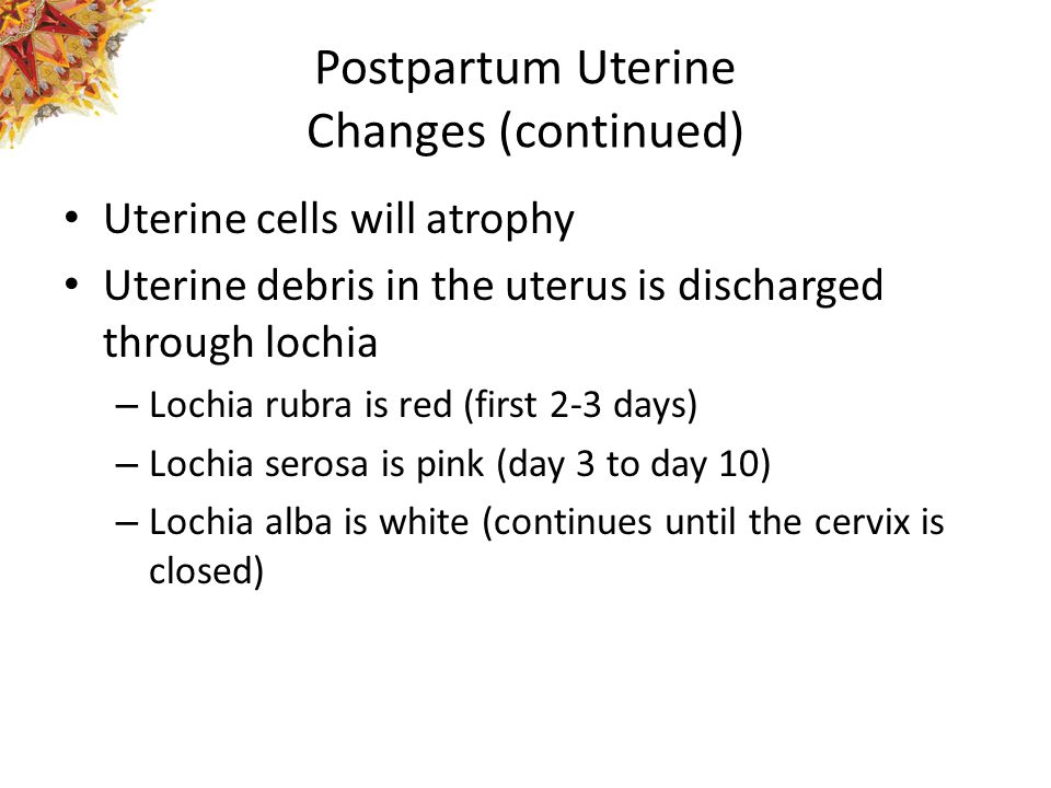 Nursing Care of the LowRisk Postpartum Family. Clinical Assessment 