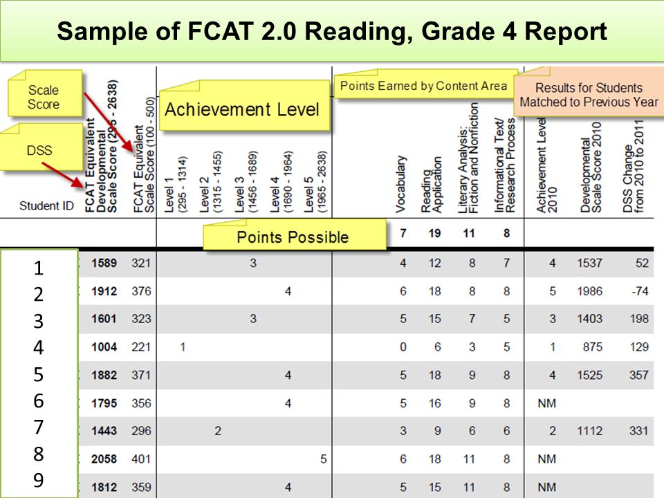 Sample of FCAT 2.0 Reading, Grade 4 Report