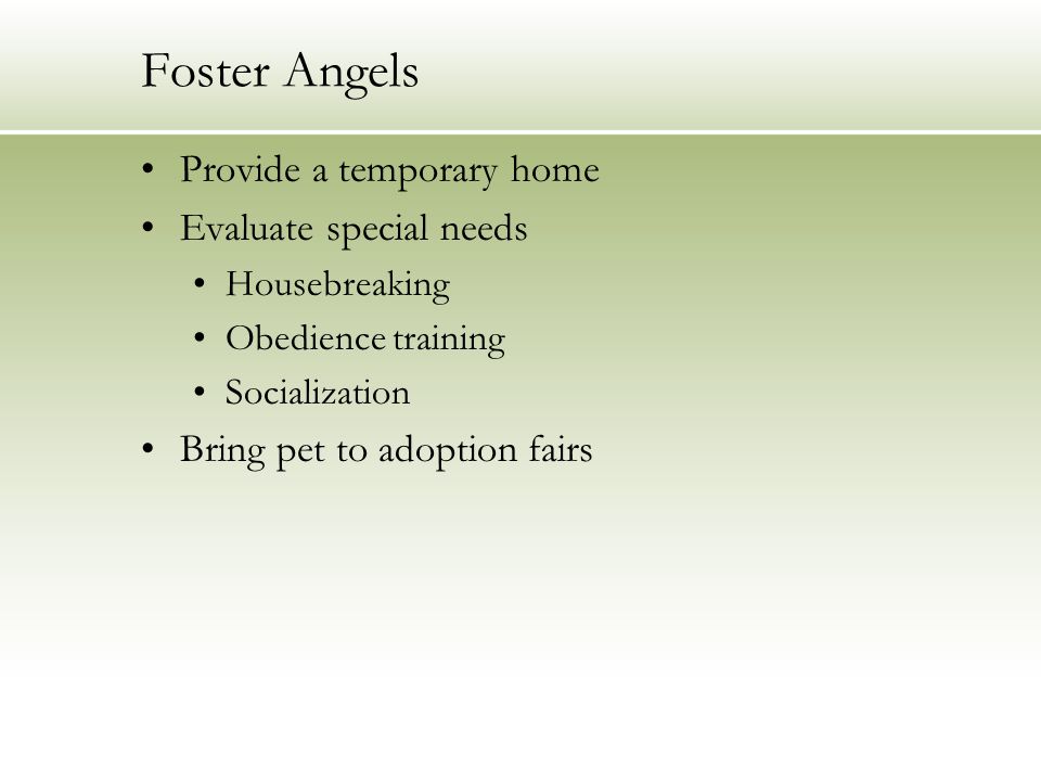 Foster Angels Provide a temporary home Evaluate special needs Housebreaking Obedience training Socialization Bring pet to adoption fairs
