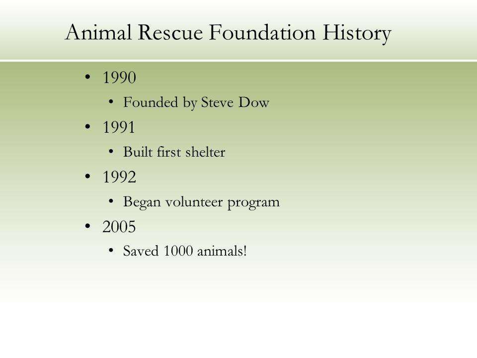 Animal Rescue Foundation History 1990 Founded by Steve Dow 1991 Built first shelter 1992 Began volunteer program 2005 Saved 1000 animals!
