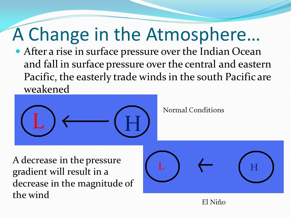 A Change in the Atmosphere… After a rise in surface pressure over the Indian Ocean and fall in surface pressure over the central and eastern Pacific, the easterly trade winds in the south Pacific are weakened H L L H Normal Conditions El Niño A decrease in the pressure gradient will result in a decrease in the magnitude of the wind