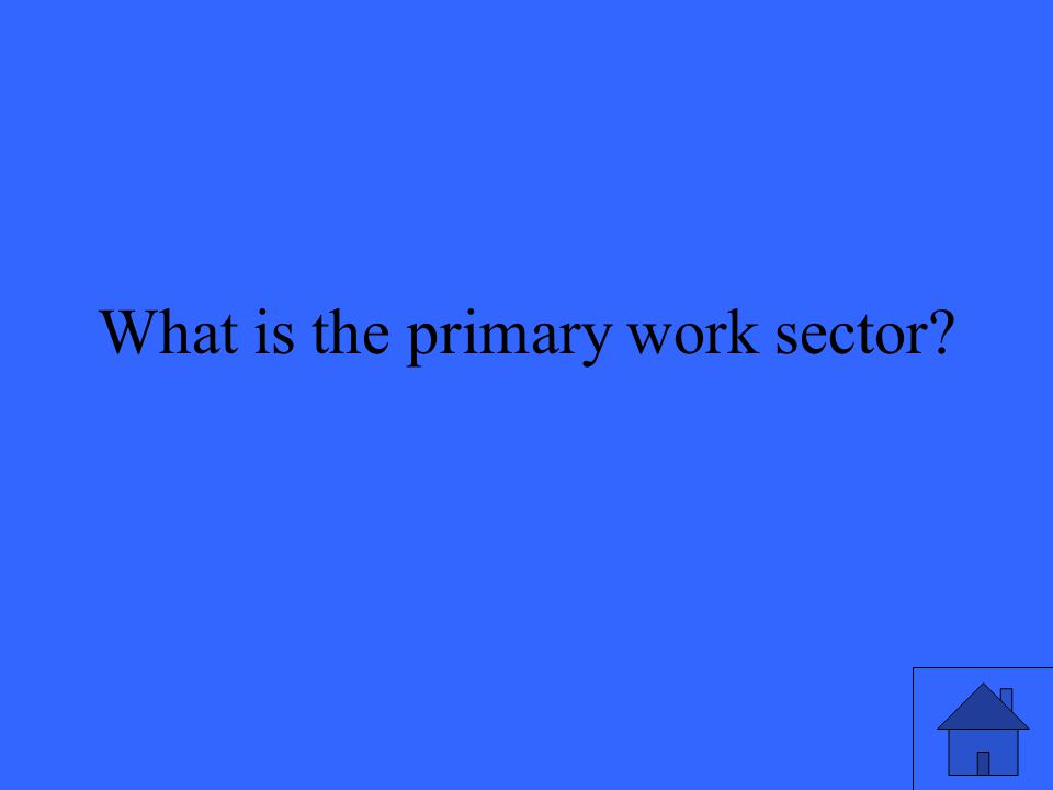 What is the primary work sector