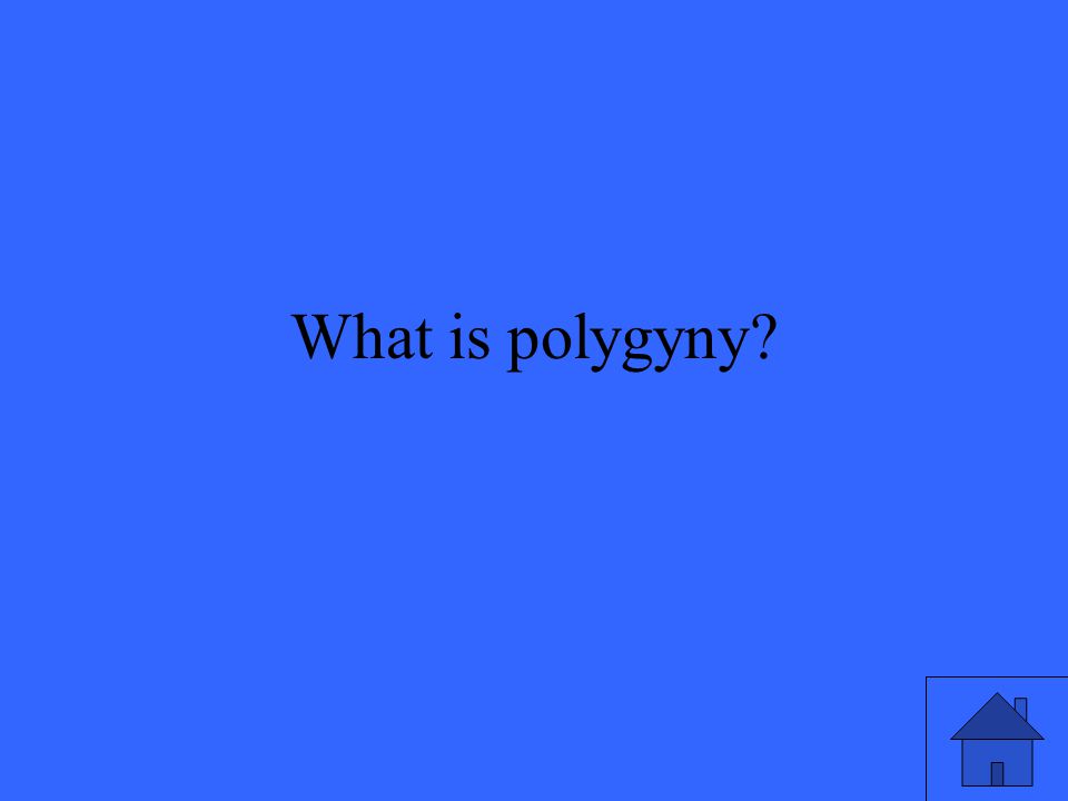 What is polygyny