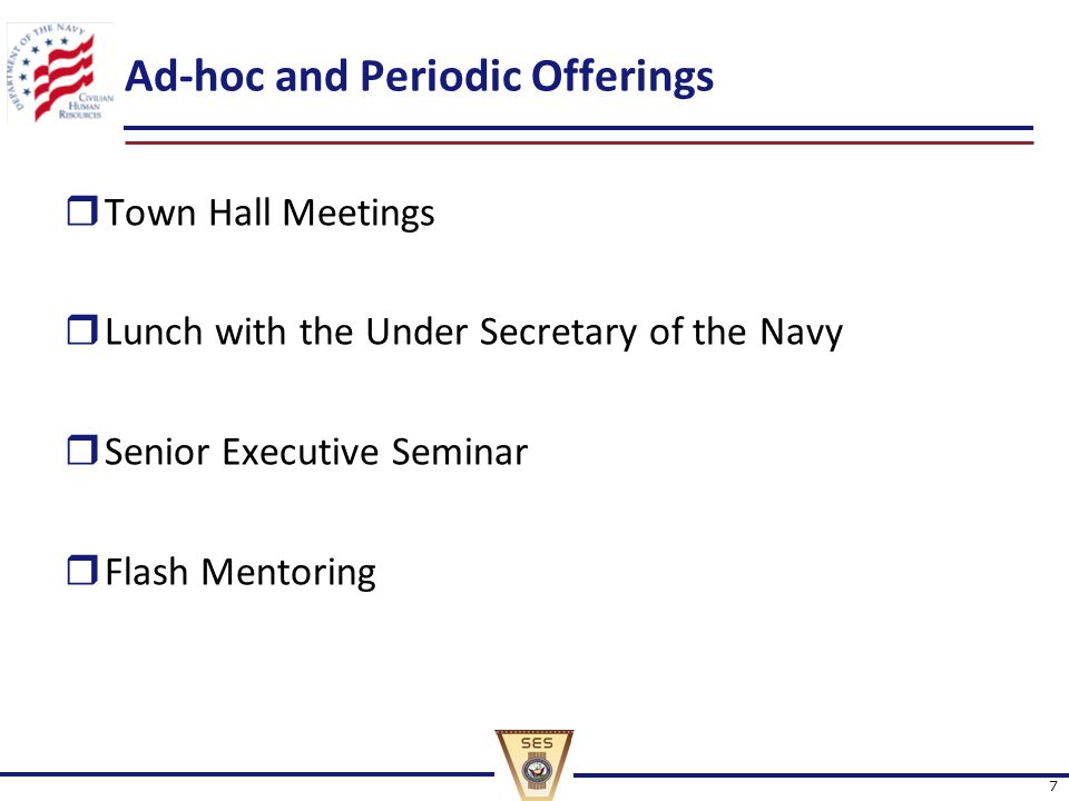 Ad-hoc and Periodic Offerings  Town Hall Meetings  Lunch with the Under Secretary of the Navy  Senior Executive Seminar  Flash Mentoring 7