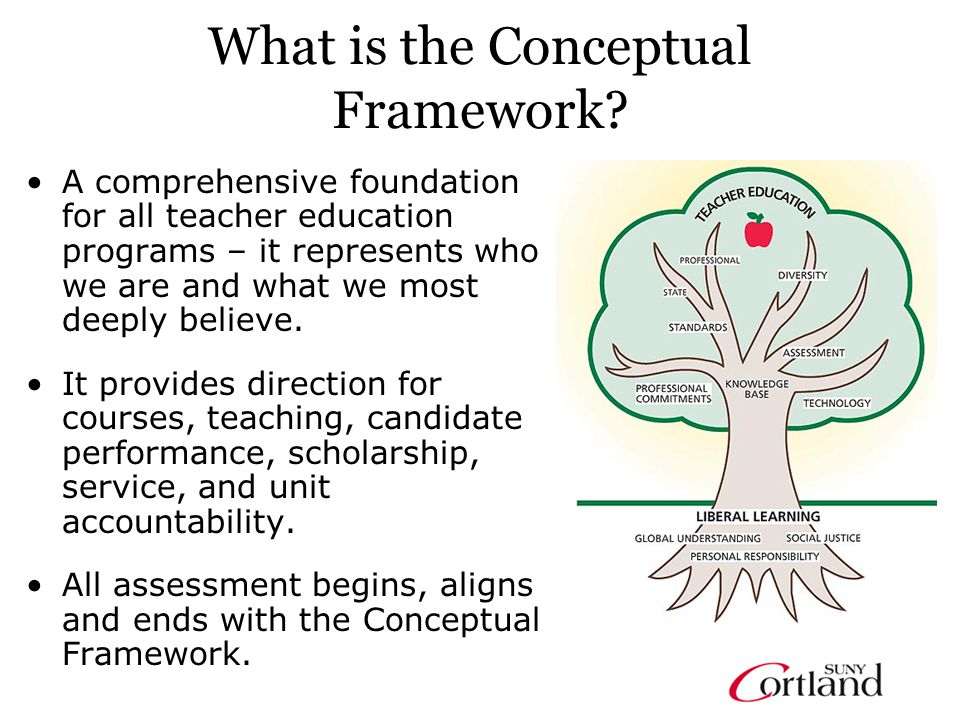 What is the Conceptual Framework.