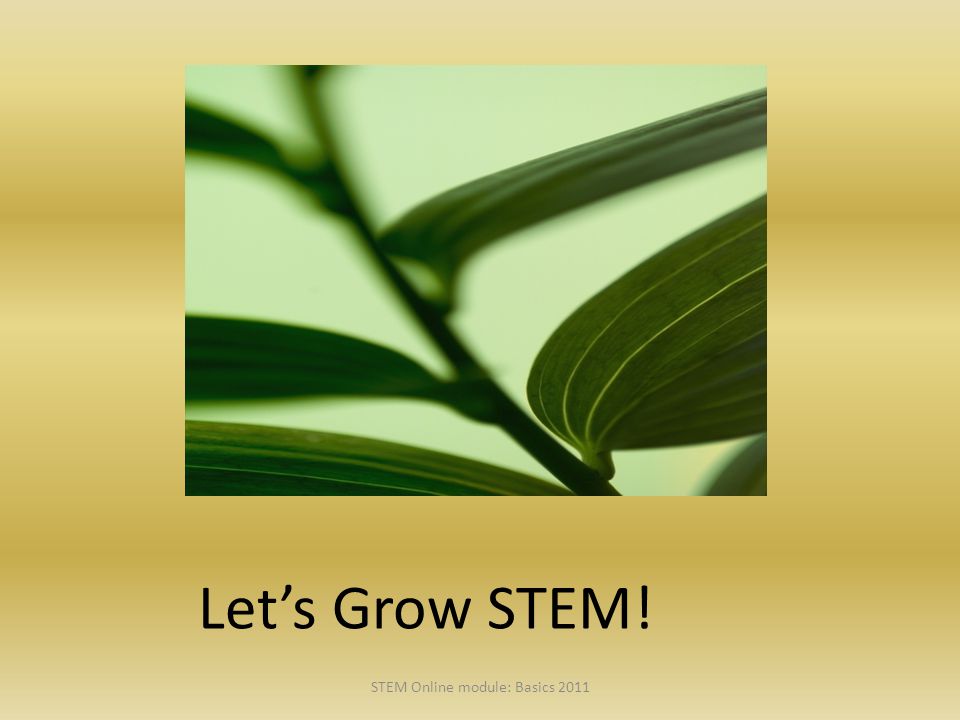Let’s Grow STEM! STEM Online module: Basics 2011