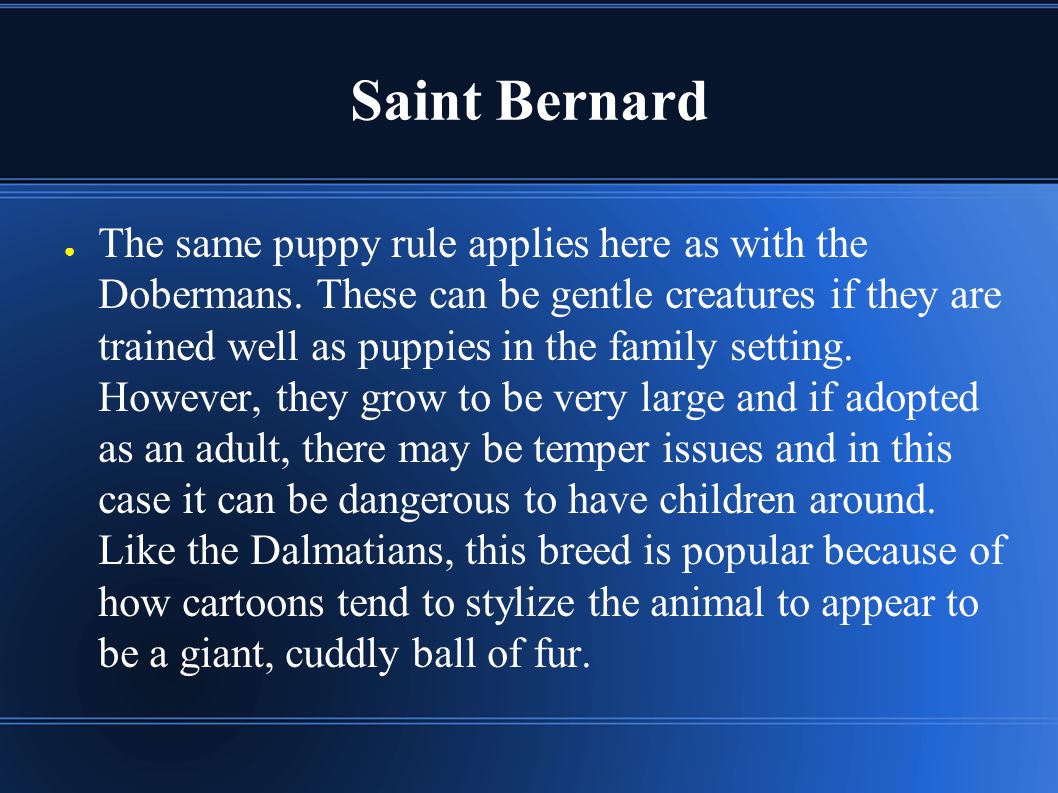 Saint Bernard ● The same puppy rule applies here as with the Dobermans.
