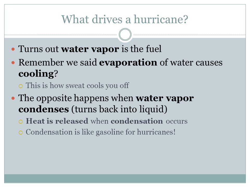 What drives a hurricane.