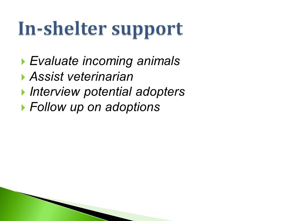  Evaluate incoming animals  Assist veterinarian  Interview potential adopters  Follow up on adoptions