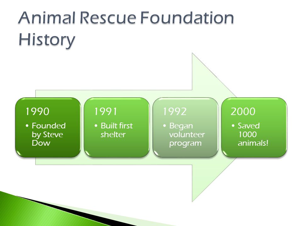 1990 Founded by Steve Dow 1991 Built first shelter 1992 Began volunteer program 2000 Saved 1000 animals!