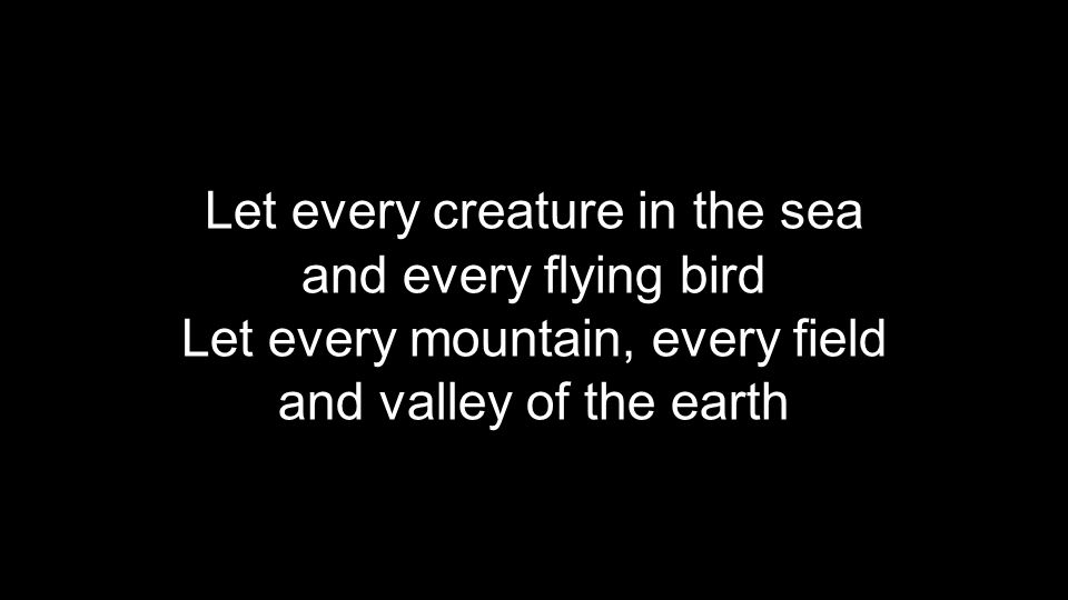 Let every creature in the sea and every flying bird Let every mountain, every field and valley of the earth