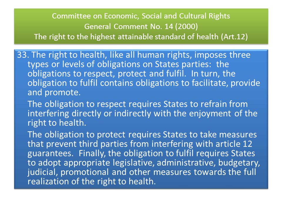 Committee on Economic, Social and Cultural Rights General Comment No.