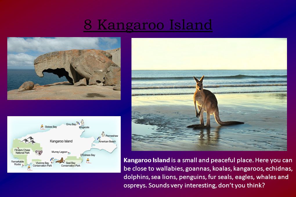 8 Kangaroo Island Kangaroo Island is a small and peaceful place.