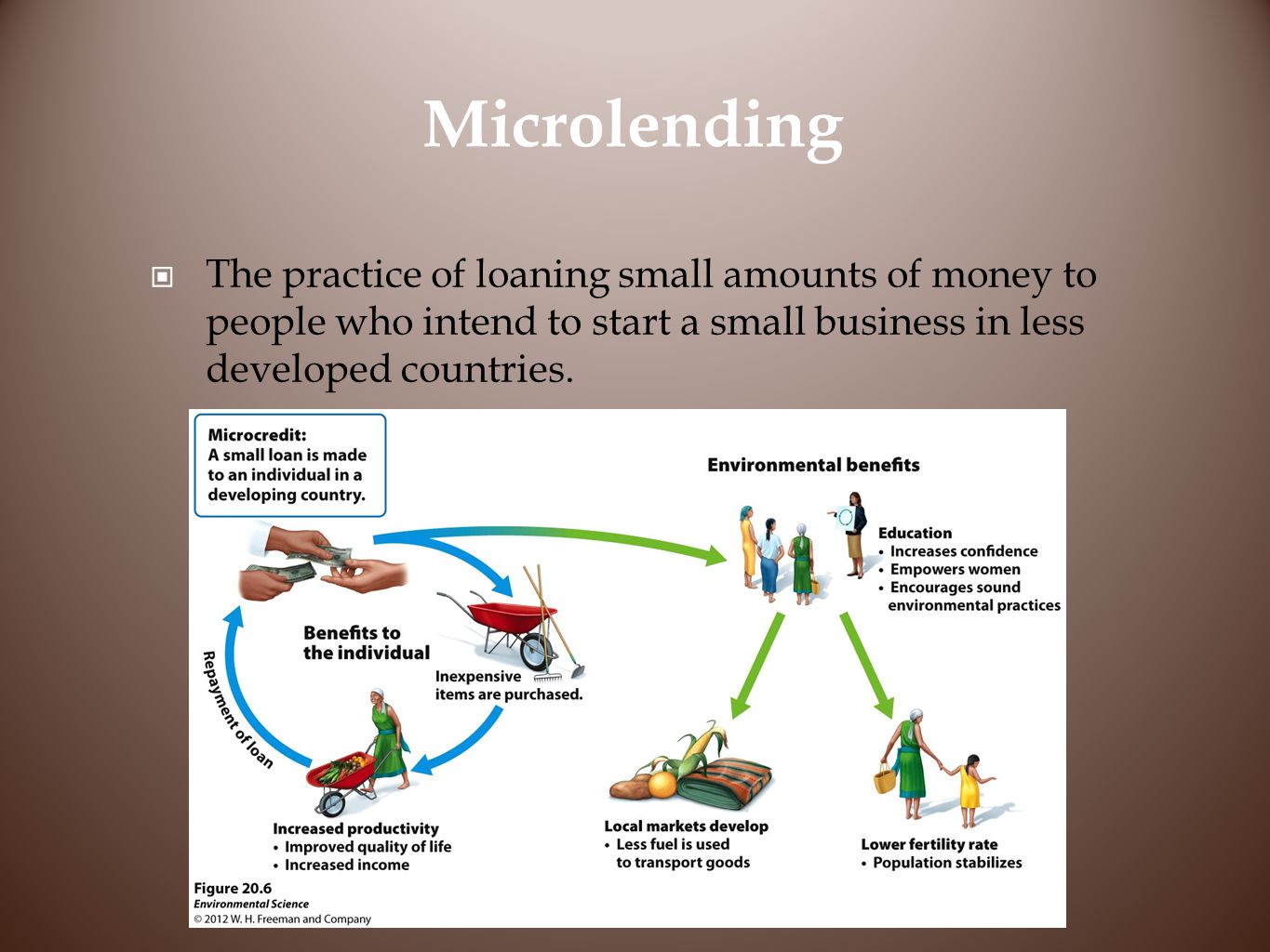 Microlending The practice of loaning small amounts of money to people who intend to start a small business in less developed countries.