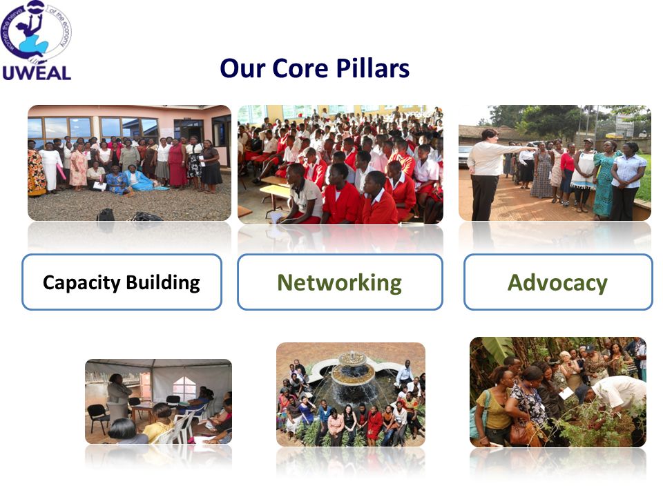 Our Core Pillars Capacity Building NetworkingAdvocacy