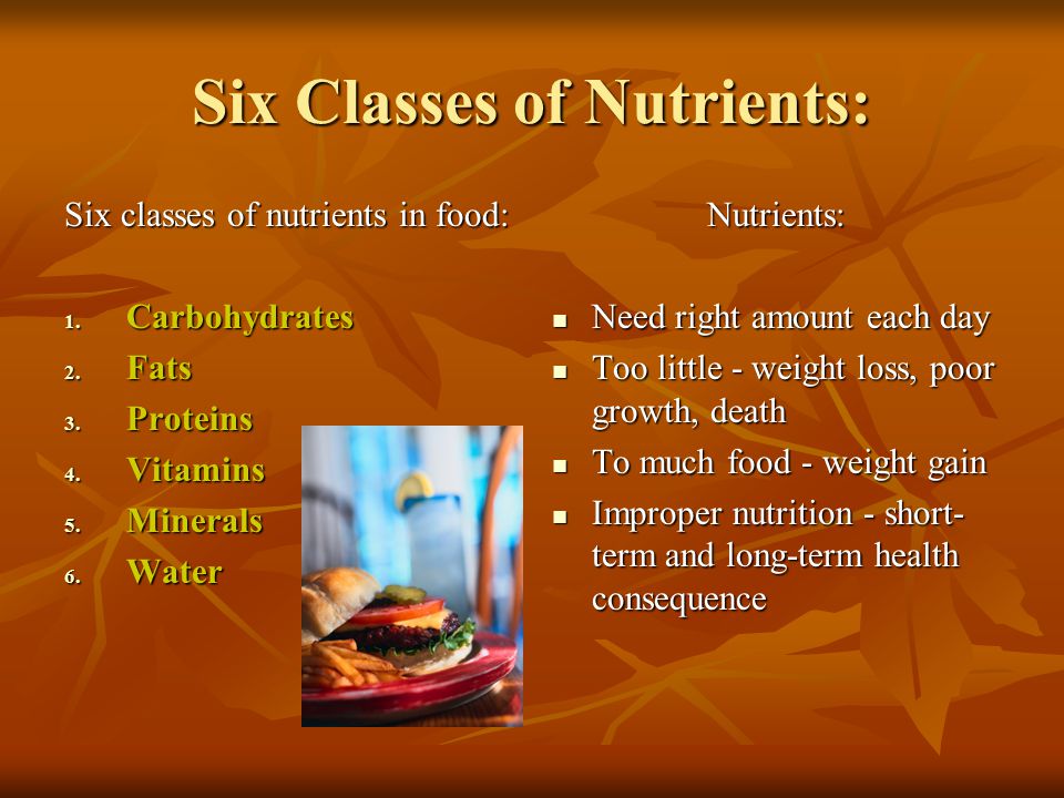 6 classes of nutrients