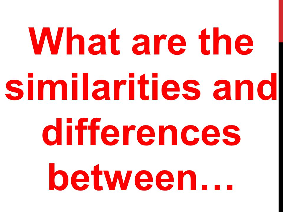 What are the similarities and differences between…