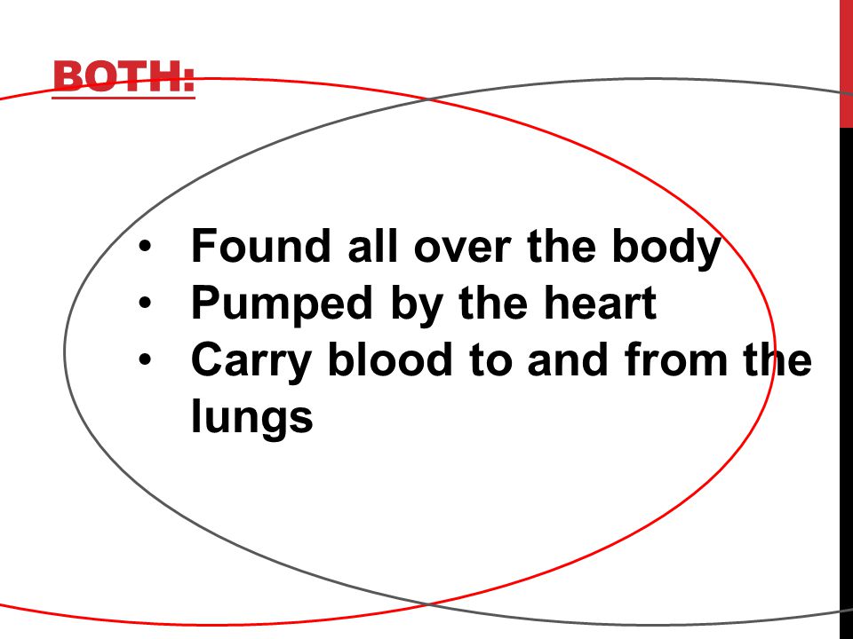 BOTH: Found all over the body Pumped by the heart Carry blood to and from the lungs