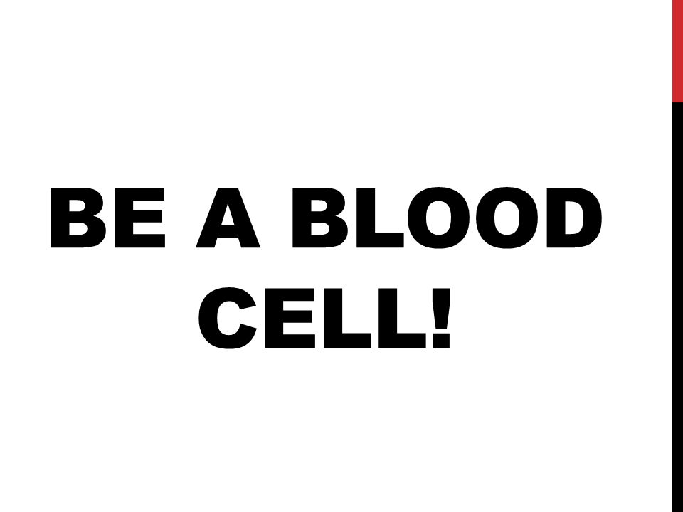 BE A BLOOD CELL!