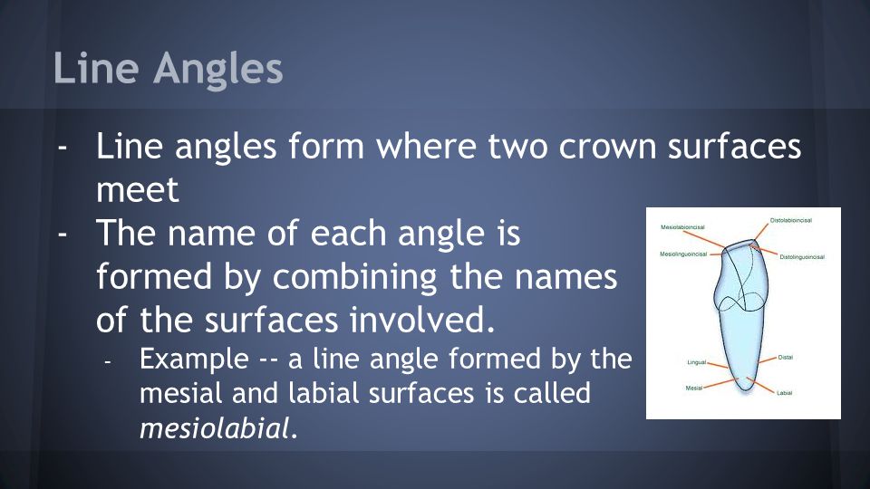 identifying the surfaces of the teeth clark dho ppt download combining form for angle