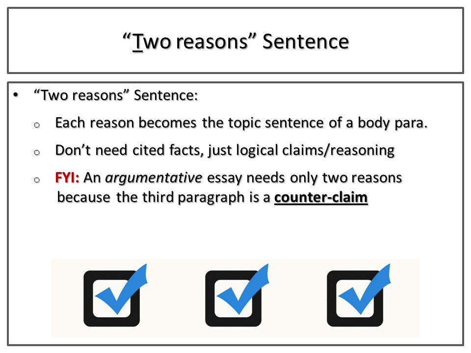 pages Affirmative Action essay
