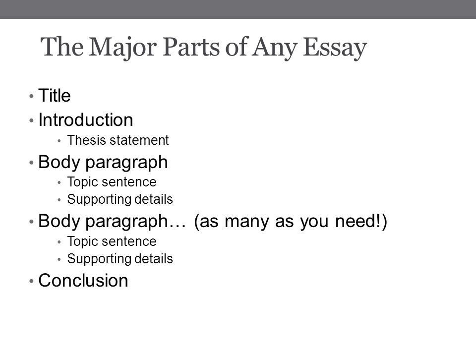 Opening Essay Sentences