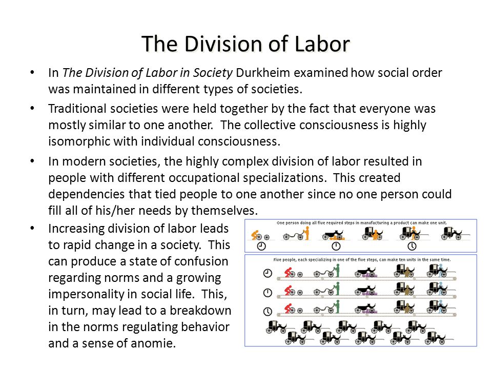 durkheim division of laber essay durkheim division of laber essay