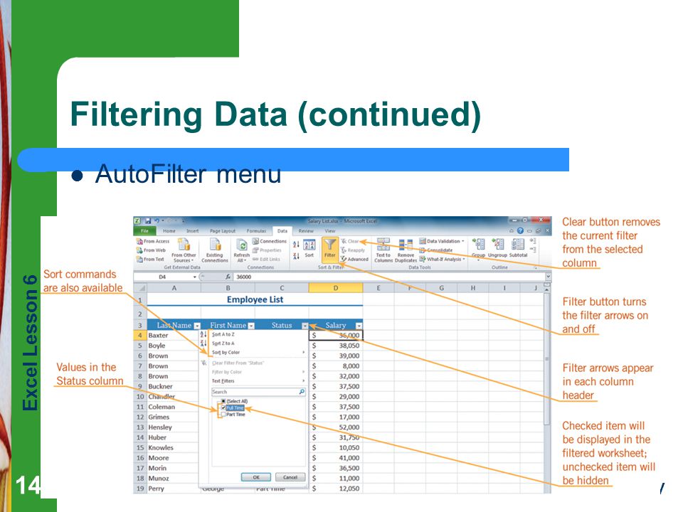 Excel Lesson 6 Pasewark & Pasewark Microsoft Office 2010 Introductory Filtering Data (continued) AutoFilter menu 14