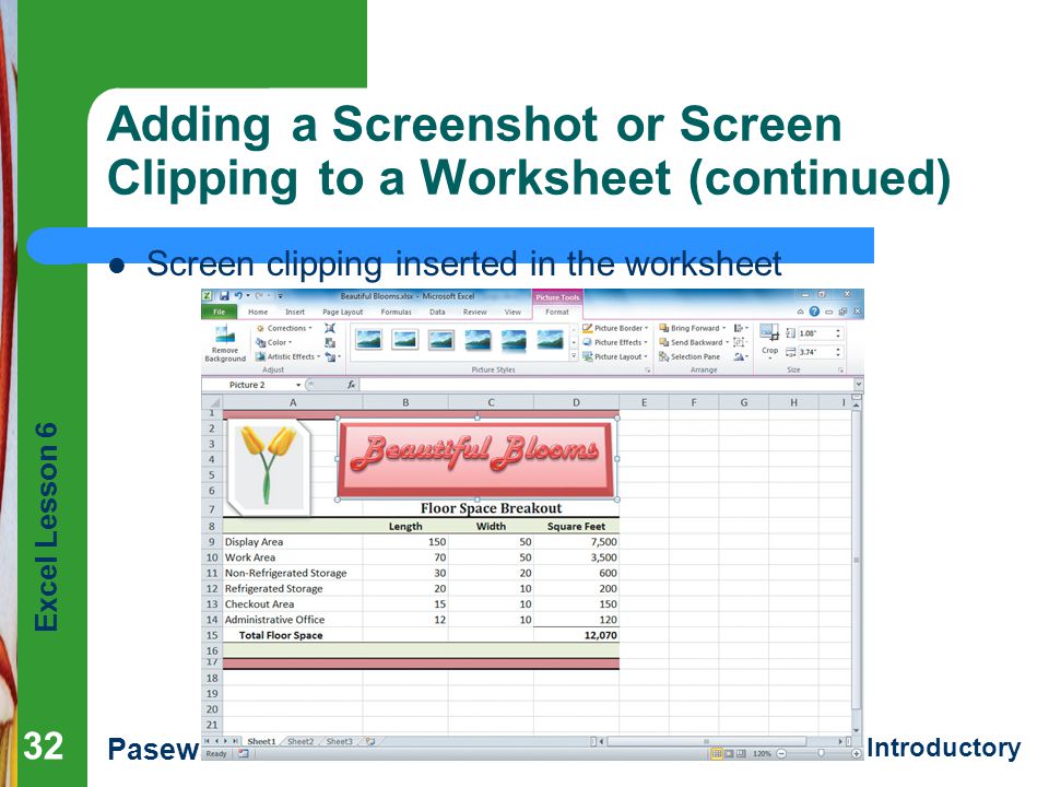 Excel Lesson 6 Pasewark & Pasewark Microsoft Office 2010 Introductory Adding a Screenshot or Screen Clipping to a Worksheet (continued) Screen clipping inserted in the worksheet 32