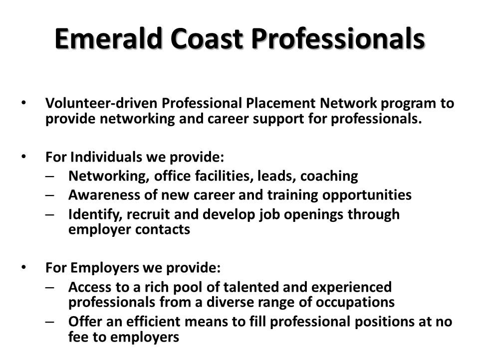 Volunteer-driven Professional Placement Network program to provide networking and career support for professionals.