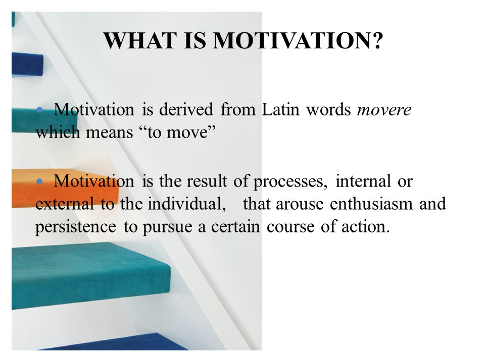 WHAT IS MOTIVATION.
