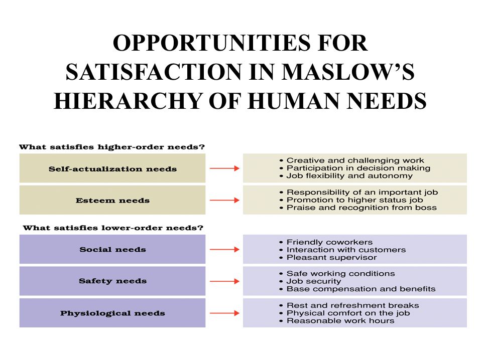 OPPORTUNITIES FOR SATISFACTION IN MASLOW’S HIERARCHY OF HUMAN NEEDS