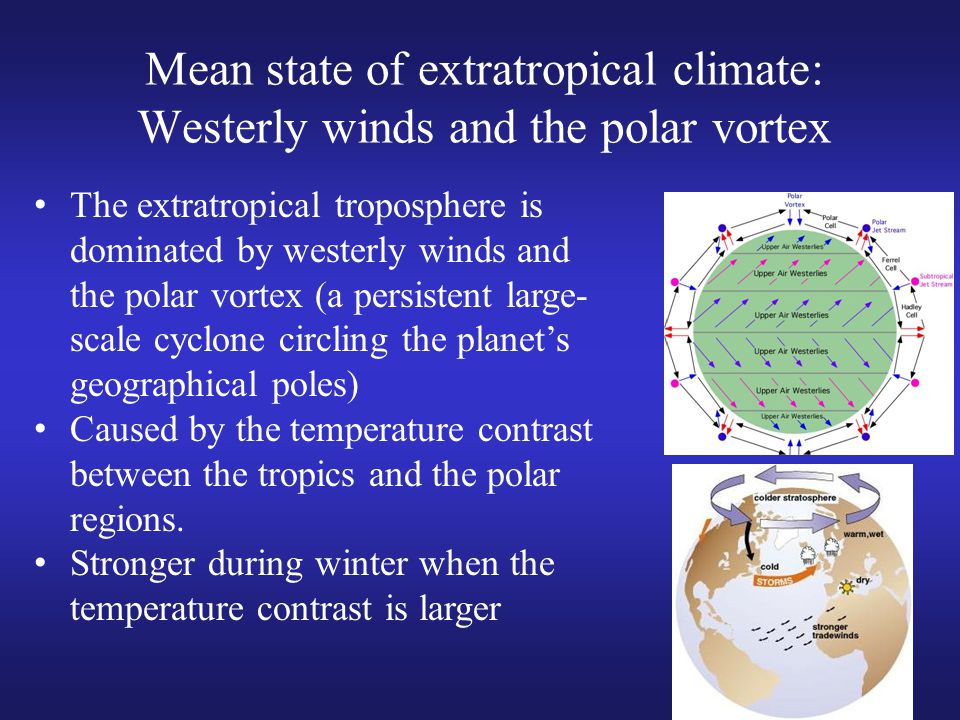 The extratropical troposphere is dominated by westerly winds and the polar vortex (a persistent large- scale cyclone circling the planet’s geographical poles) Caused by the temperature contrast between the tropics and the polar regions.