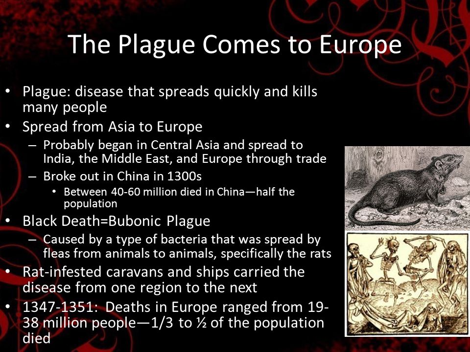 The Plague Comes to Europe Plague: disease that spreads quickly and kills many people Spread from Asia to Europe – Probably began in Central Asia and spread to India, the Middle East, and Europe through trade – Broke out in China in 1300s Between million died in China—half the population Black Death=Bubonic Plague – Caused by a type of bacteria that was spread by fleas from animals to animals, specifically the rats Rat-infested caravans and ships carried the disease from one region to the next : Deaths in Europe ranged from million people—1/3 to ½ of the population died