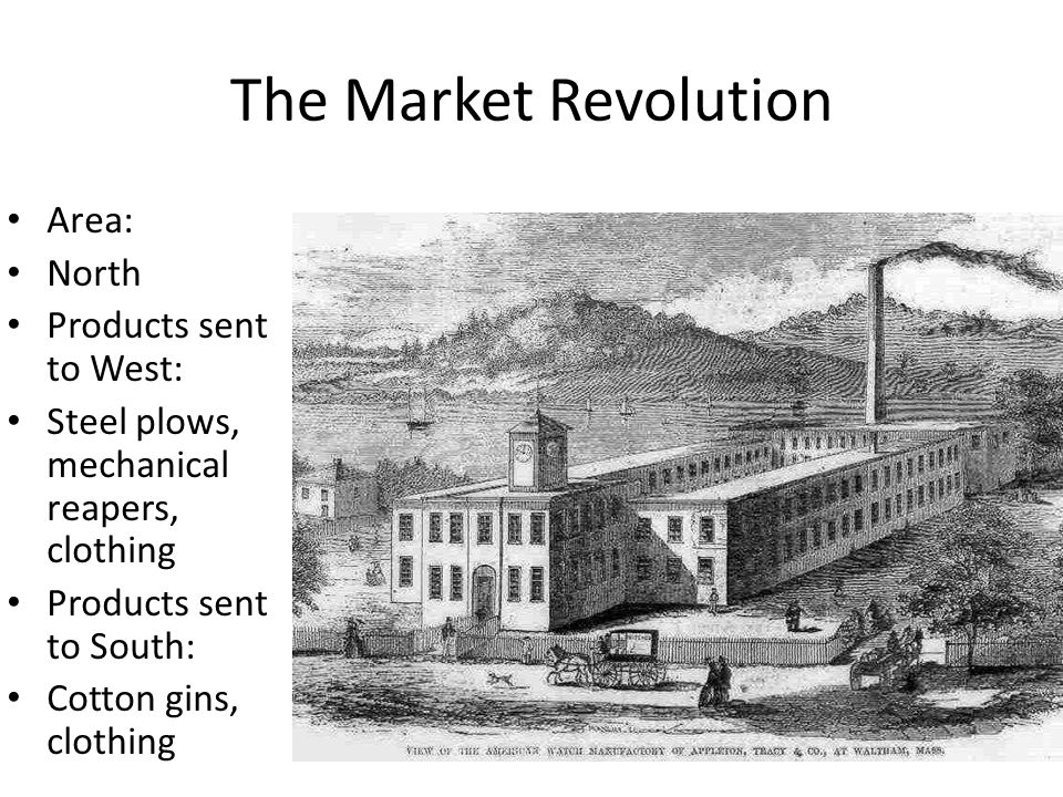 The Market Revolution Area: North Products sent to West: Steel plows, mechanical reapers, clothing Products sent to South: Cotton gins, clothing