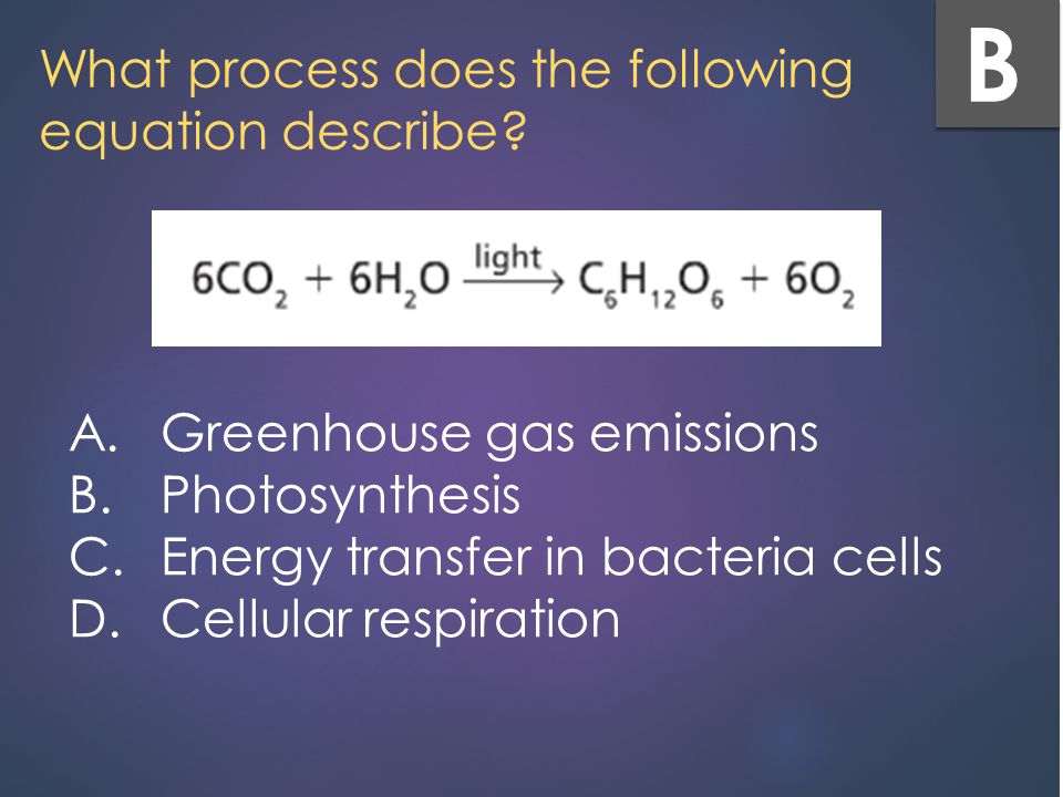 Which Of The Following Equations Best Summarizes Photosynthesis Which Of The Following Equations Represents Photosynthesis