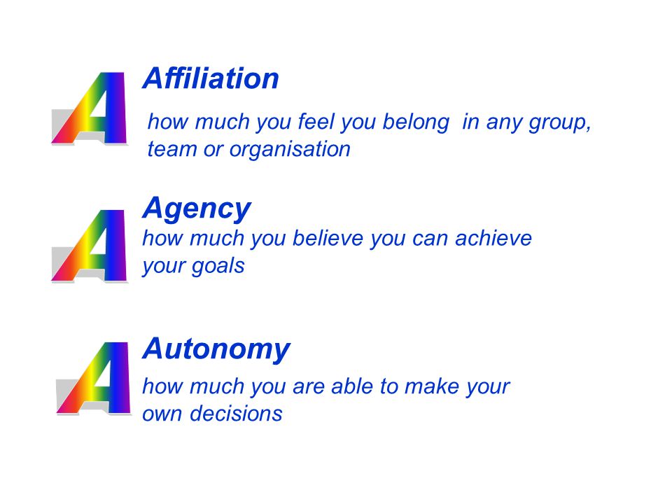 Affiliation Agency Autonomy how much you feel you belong in any group, team or organisation how much you believe you can achieve your goals how much you are able to make your own decisions