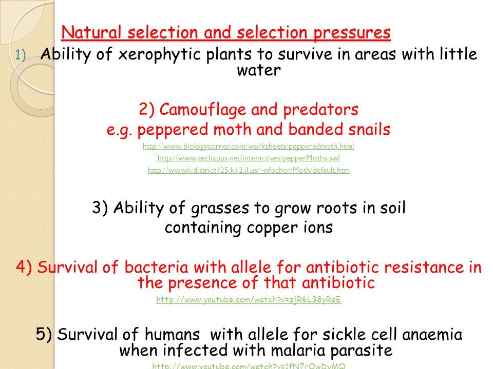 Printables Biology Corner Worksheets biology corner worksheets answers davezan davezan