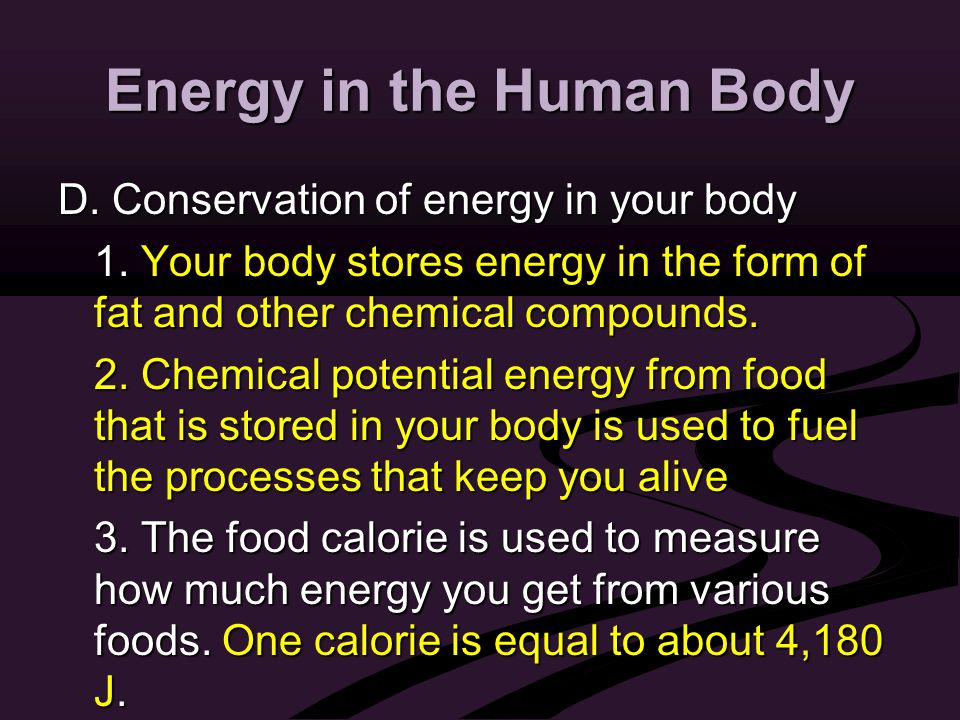 Energy in the Human Body D. Conservation of energy in your body 1.