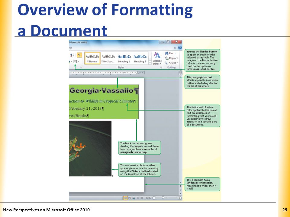 XP Overview of Formatting a Document New Perspectives on Microsoft Office