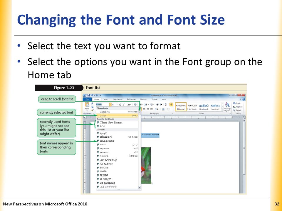XP Changing the Font and Font Size Select the text you want to format Select the options you want in the Font group on the Home tab New Perspectives on Microsoft Office