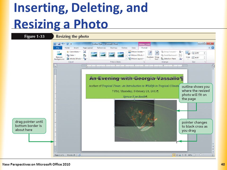 XP Inserting, Deleting, and Resizing a Photo New Perspectives on Microsoft Office