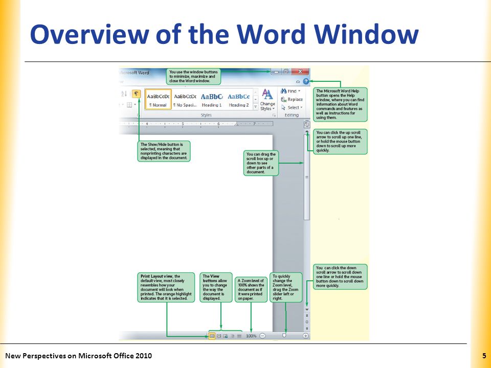 XP Overview of the Word Window New Perspectives on Microsoft Office 20105