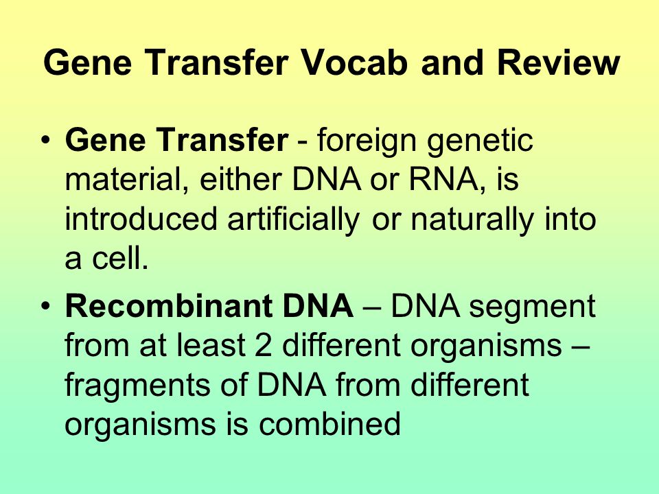 Gene Transfer Vocab and Review Gene Transfer - foreign genetic material, either DNA or RNA, is introduced artificially or naturally into a cell.